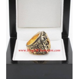 1974 Minnesota Vikings National Football Conference Championship Ring, Custom Minnesota Vikings Champions Ring